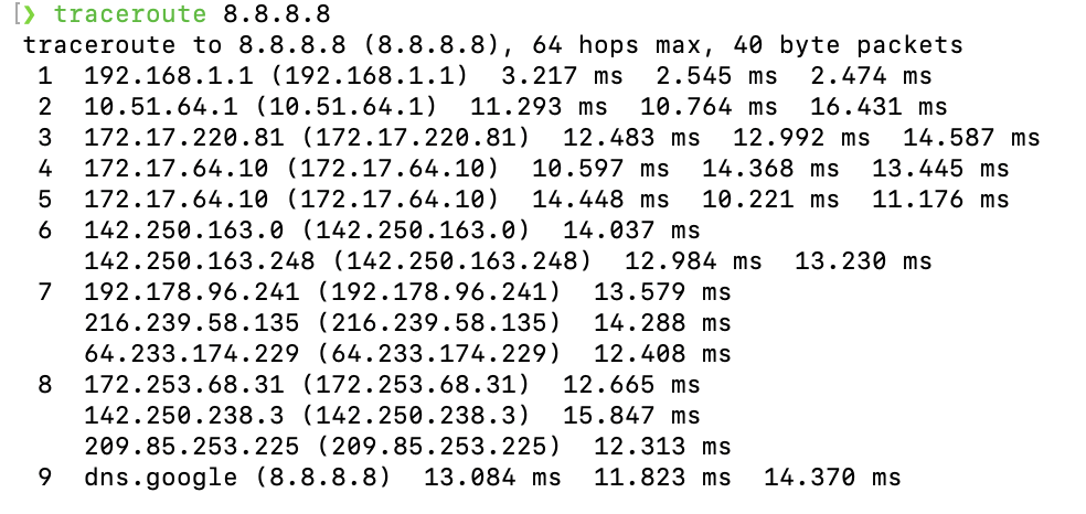 macOS Terminal traceroute command showing network path to 8.8.8.8