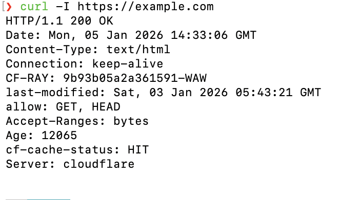 macOS Terminal curl command inspecting HTTP headers