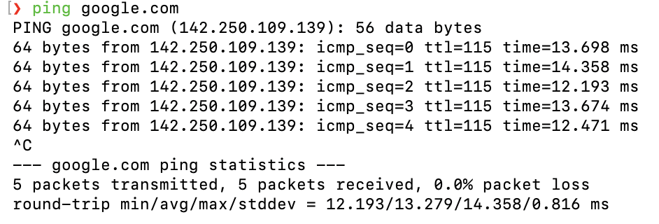 macOS Terminal ping command testing network connectivity